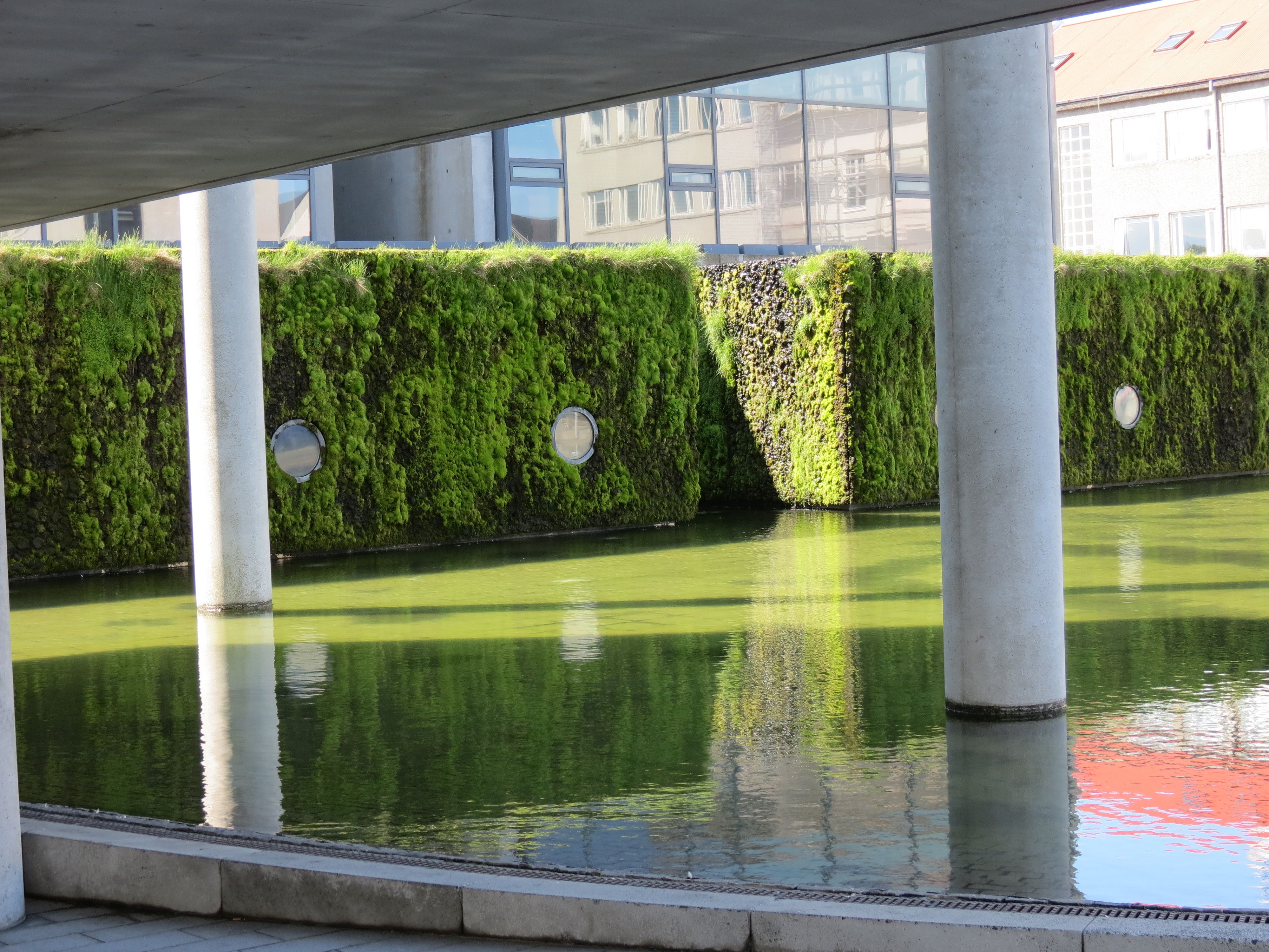 Moss wall