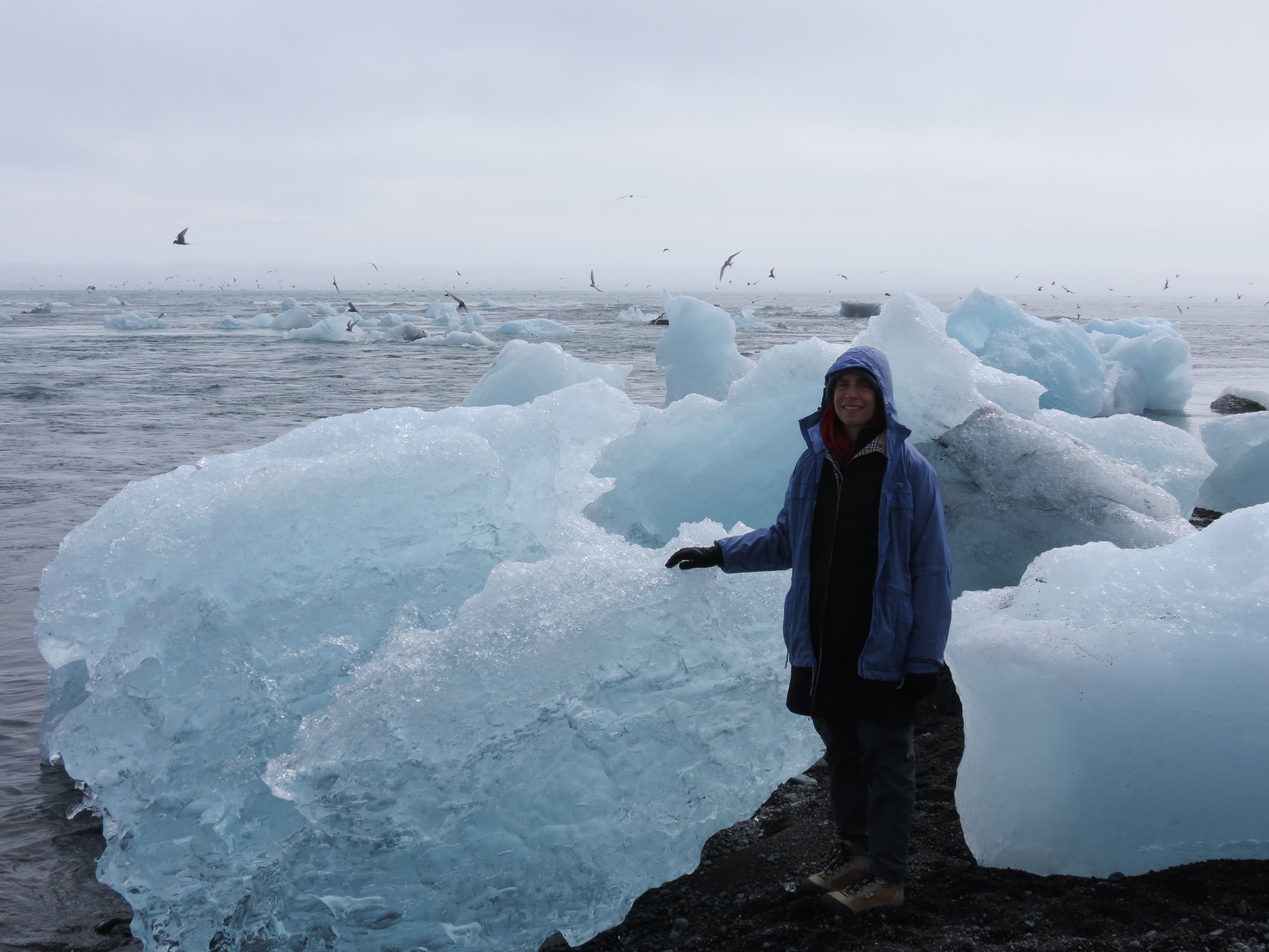 Shoshanna with beached bergs
