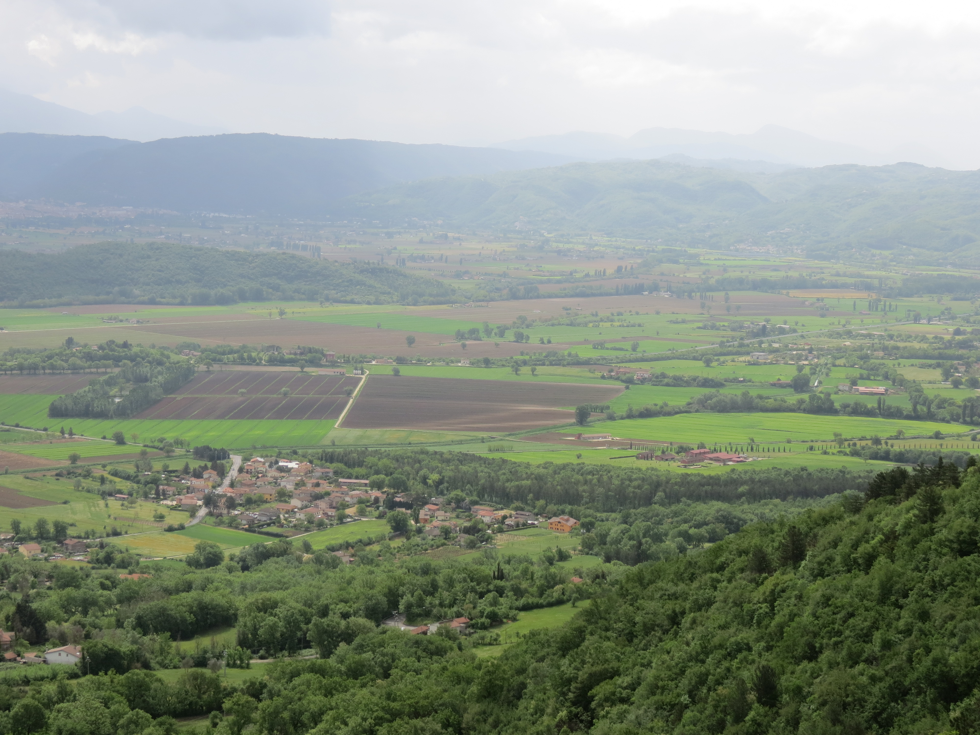 Greccio fields