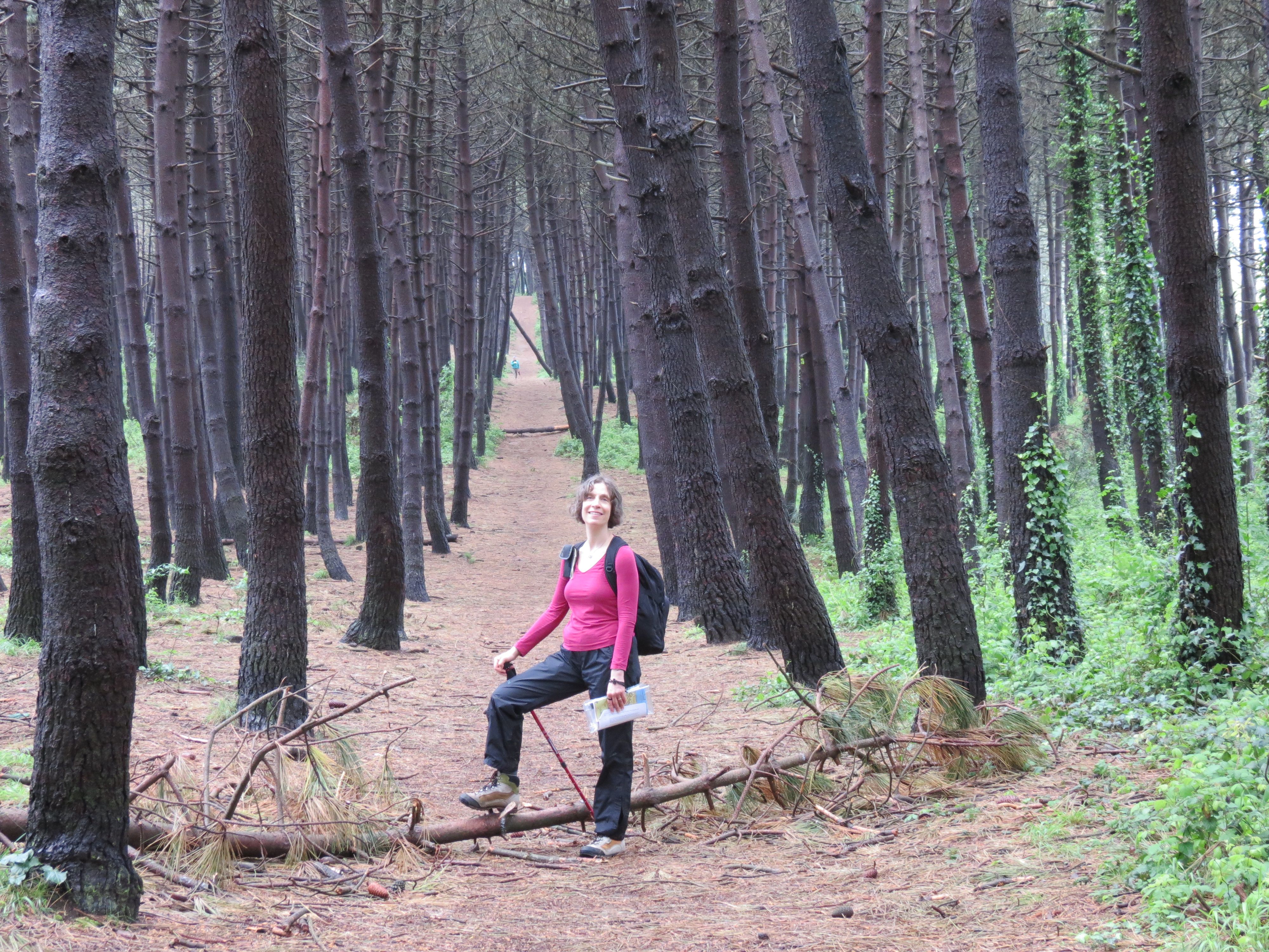Shoshanna of the pines