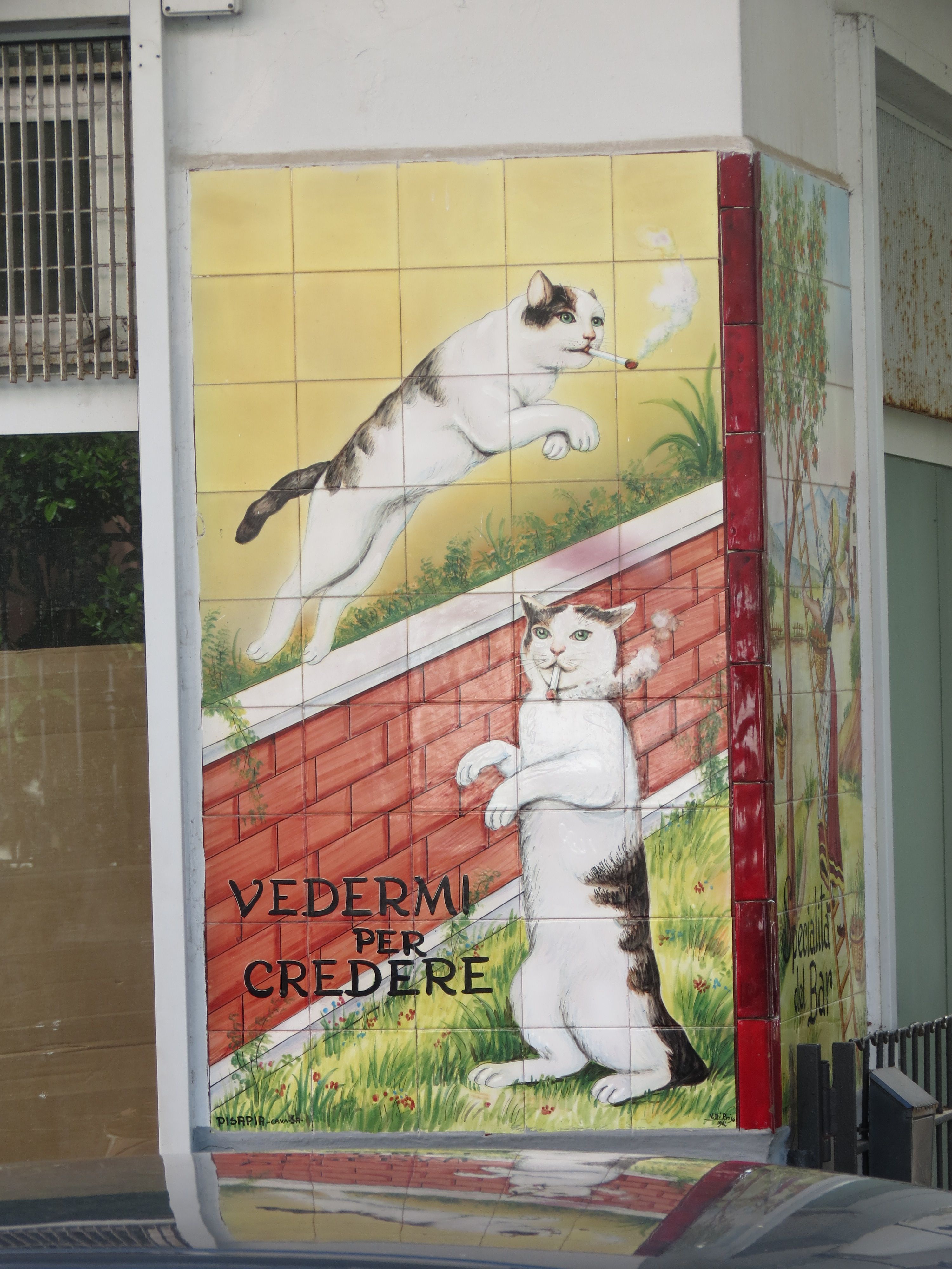 Smoking cats?